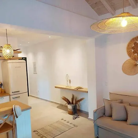 Maya 5, Junior With Big Terrace